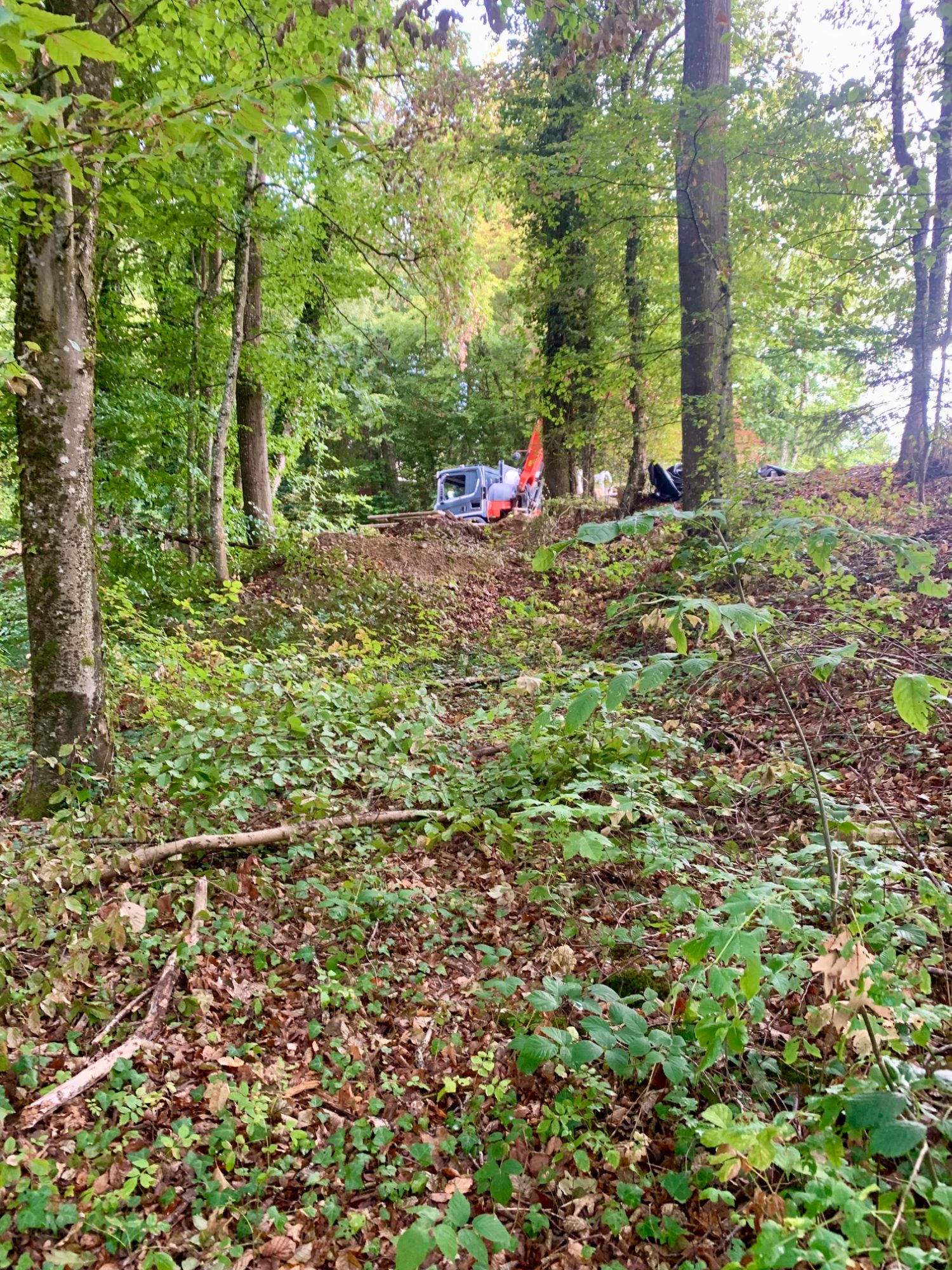 Création d'un chemin forestier avec extension du réseau 